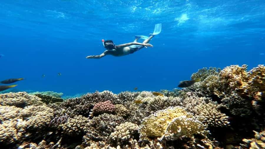 Hurghada: Luxury Cruise Trip to Orange Bay with Lunch - Snorkeling at Jazāir Jiftūn: what to expect from the first reef stop
