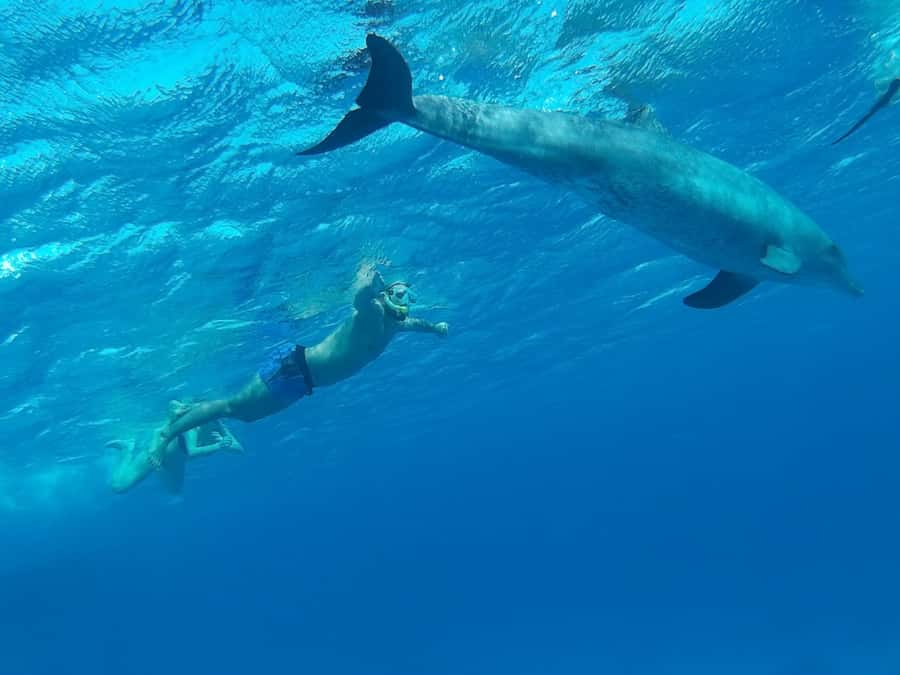 Hurghada: Luxury Cruise Trip to Orange Bay with Lunch - Lunch on the Red Sea: the buffet that keeps the day moving
