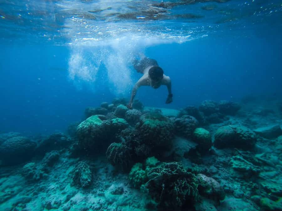 Hurghada:Luxury Diving & Snorkeling inc/Island/Lunch/Massage - The schedule in plain English: from pickup to free time