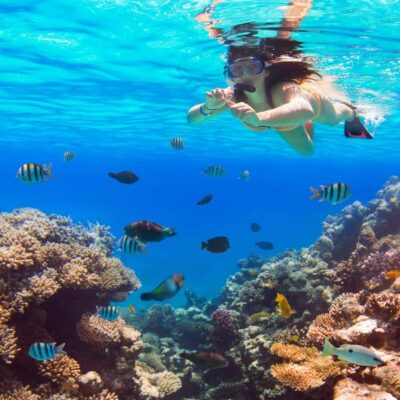 Hurghada:Luxury Diving & Snorkeling inc/Island/Lunch/Massage - Orange Bay Island: your first taste of the Red Sea rhythm