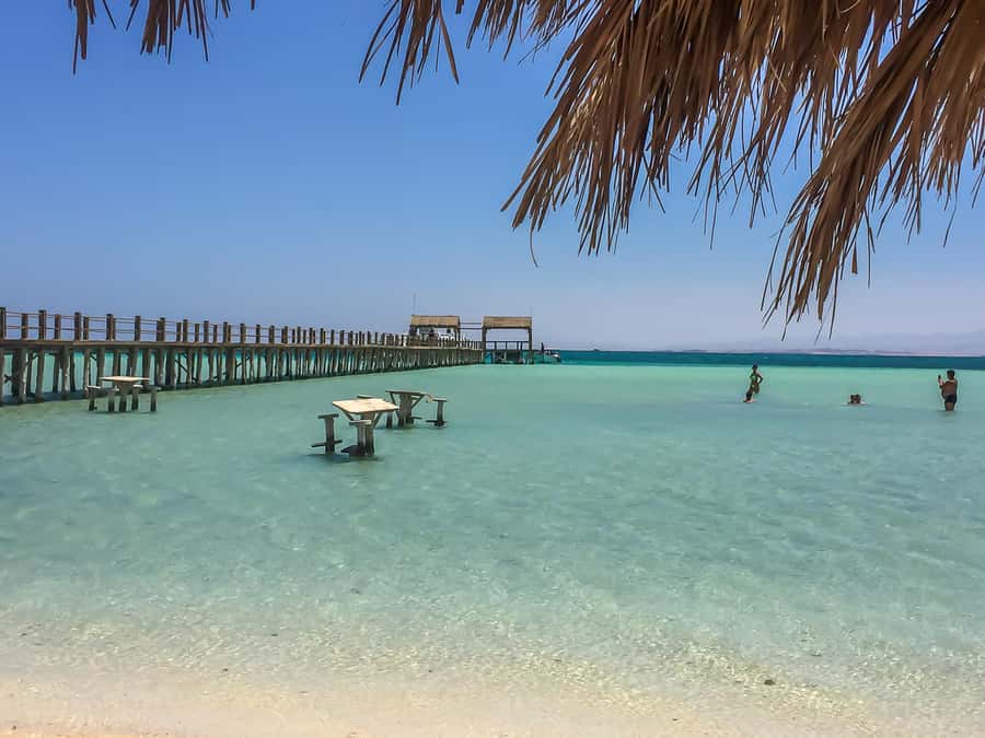Hurghada:Luxury Diving & Snorkeling inc/Island/Lunch/Massage - Snorkeling at Giftun: where the Red Sea makes its case