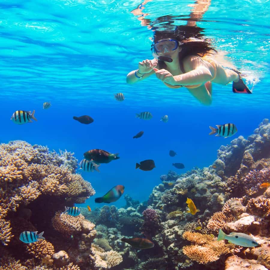 Hurghada:Luxury Diving & Snorkeling inc/Island/Lunch/Massage - Orange Bay Island: your first taste of the Red Sea rhythm