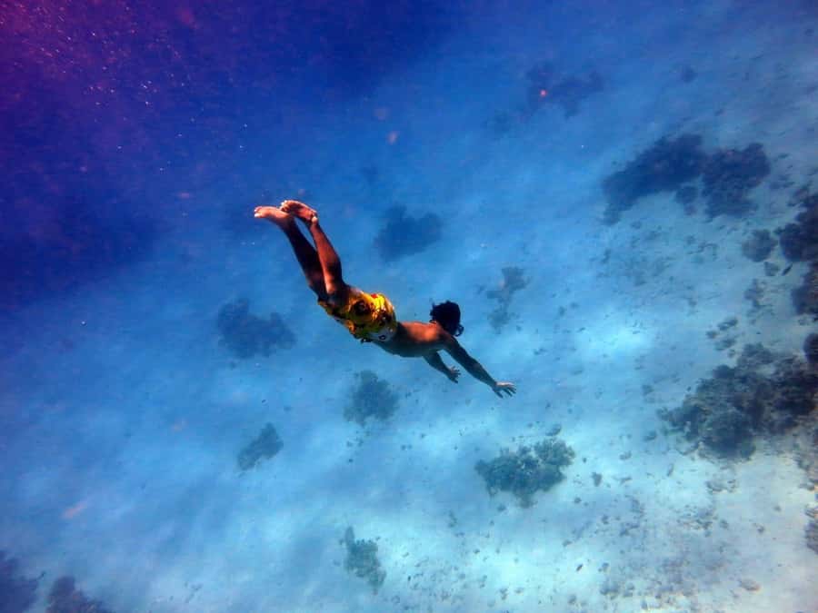 Hurghada: Premium Island Cruise with Lunch and snorkeling - Key highlights you’ll actually feel