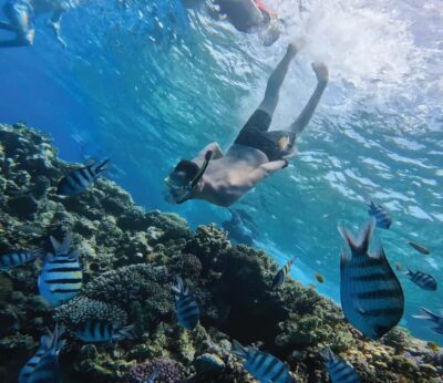 Hurghada: Premium Orange Island Cruise with Lunch & Transfer - Orange Bay beach time: sandy calm, shallow water, and simple fun