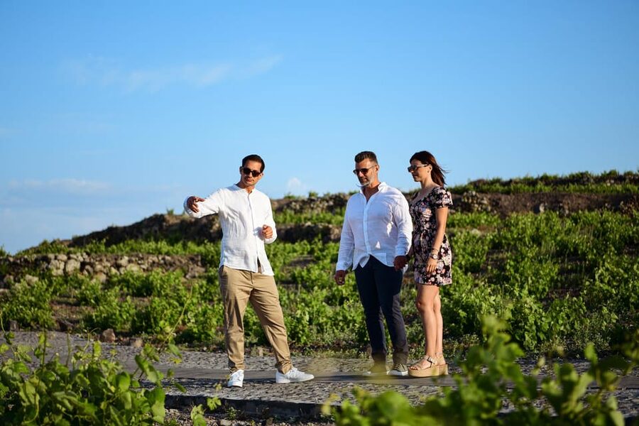 Imerovigli: Premium Wine Tasting with Caldera and Sea Views - Service and host energy: small group makes a difference