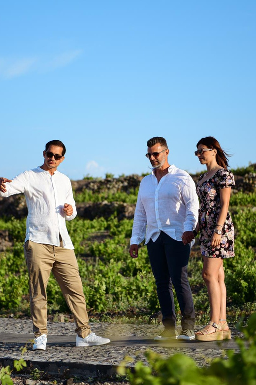 Imerovigli: Premium Wine Tasting with Caldera and Sea Views - Price and value: what $104 really buys you