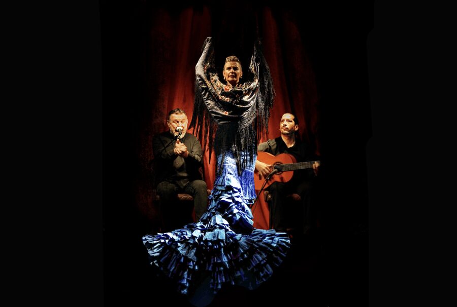 Intimate Authentic Flamenco Show in Barcelona at Casa Sors - Key highlights you should care about