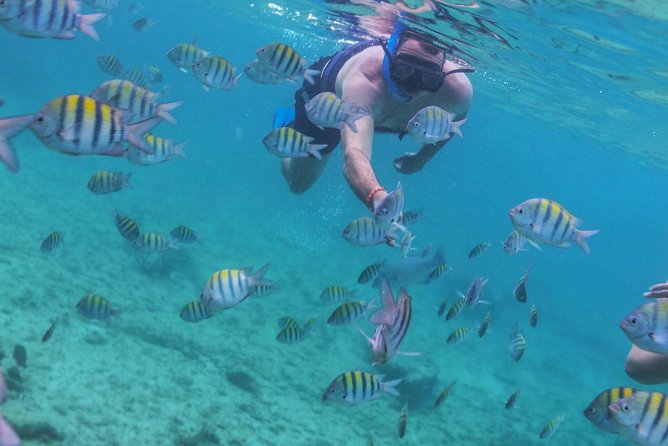 Isla Mujeres Luxury Sailing: Adults Only or Family Friendly - Snorkeling stop: what you’ll actually do in the water