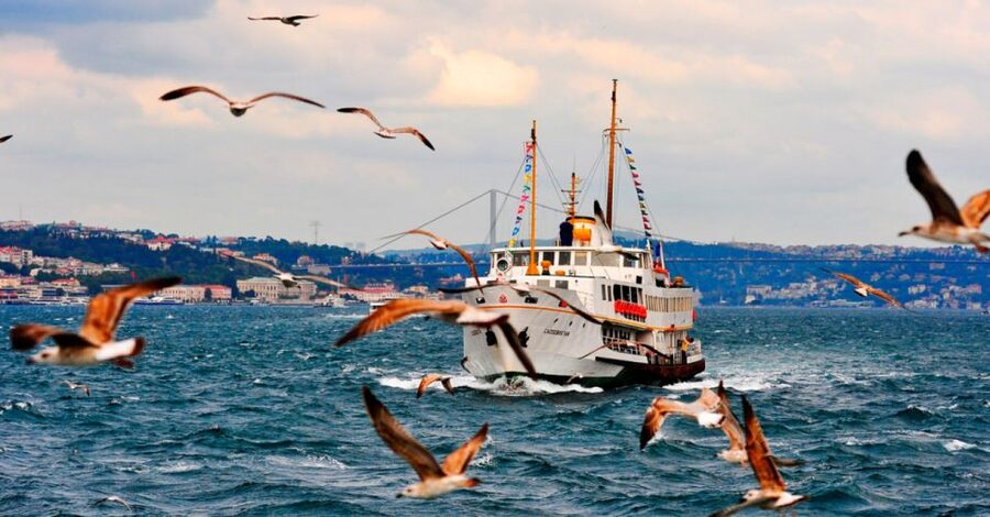 Istanbul: Private Bosphorus Cruise By Luxury Yacht - Key points that matter