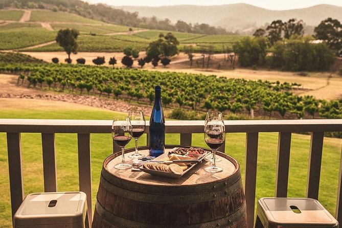 Ivanhoe Wines: Trip Advisor Premium Wine Tasting - A Pokolbin cellar door that feels like a lesson, not a sales pitch