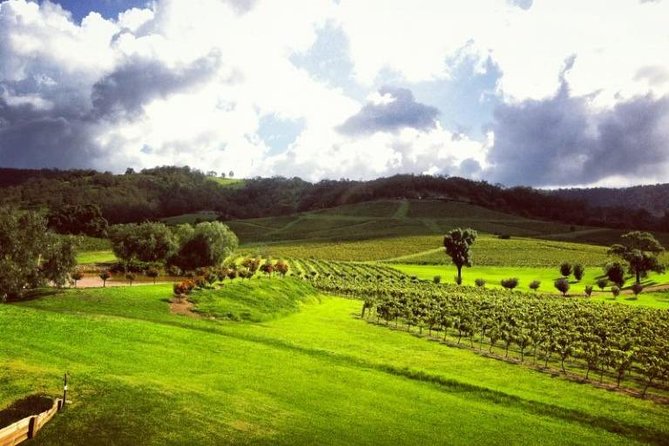 Ivanhoe Wines: Trip Advisor Premium Wine Tasting - Logistics that matter: meeting point and time flexibility
