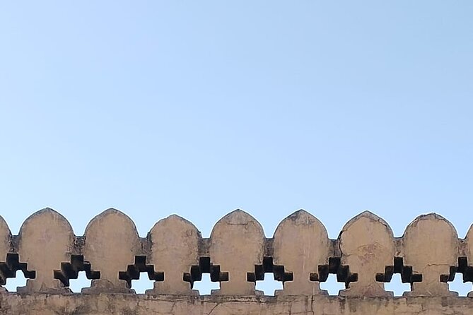 Jaipur City Full Day Luxury Private Tour - Amber Palace: two hours that actually help you see it