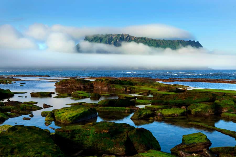 Jeju Premium Small Group UNESCO Day Tour - East - East Jeju in one day: how the UNESCO plan actually works