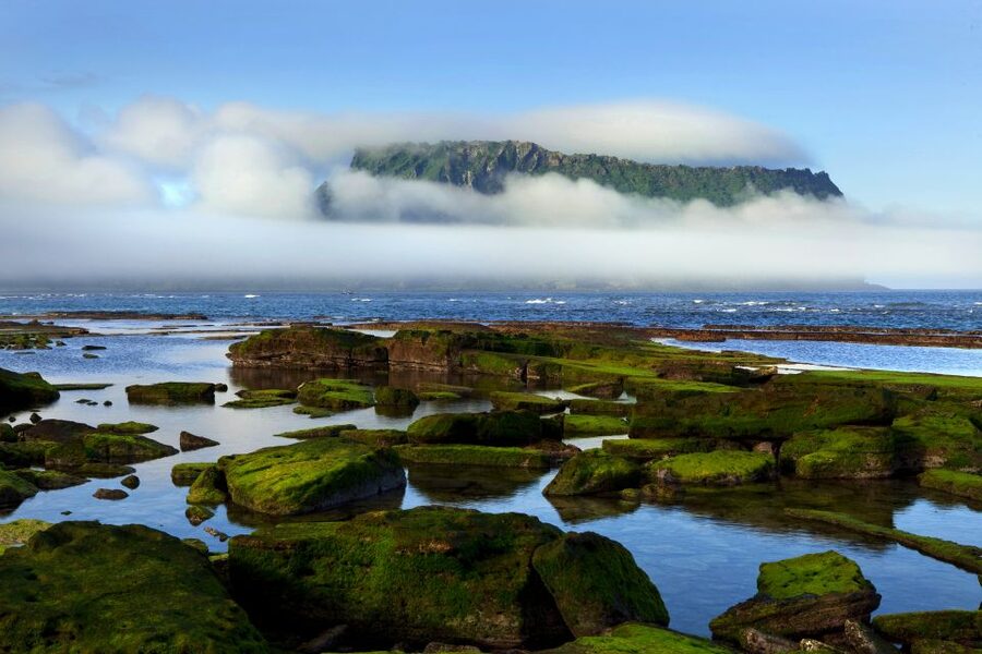 Jeju Premium Small Group UNESCO Day Tour - East - Haenyeo (Woman Diver) Museum: UNESCO heritage you can actually picture