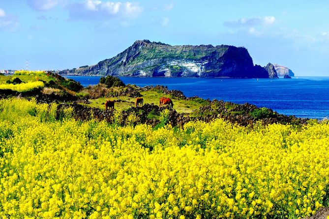 Jeju Premium Small Group UNESCO Day Tour - East Course - Key Highlights at a Glance