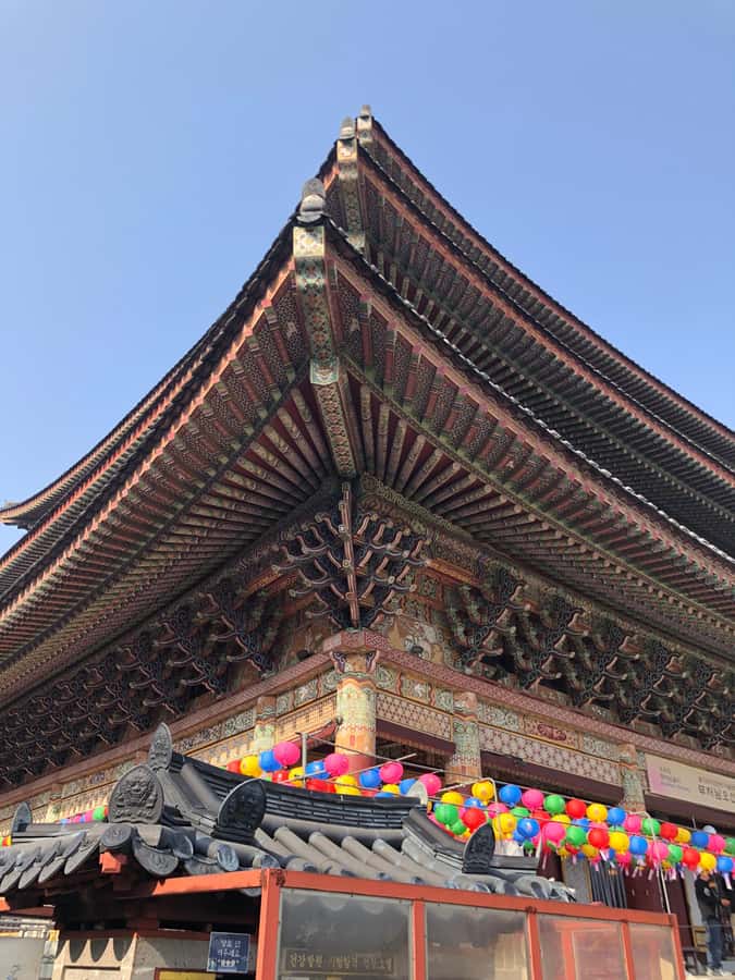 Jeju Premium Small Group UNESCO Day Tour - South - Guides, Small Groups, and the VIP Feel