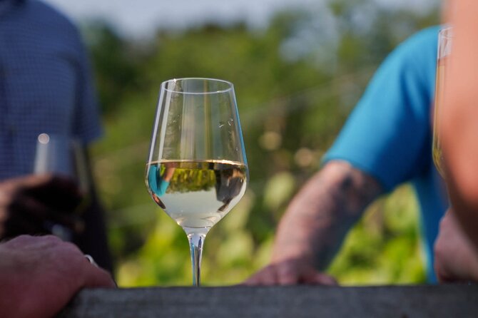 Jersey Premium Vineyard and Distillery Wine Tour and Tasting - Key highlights to know before you go