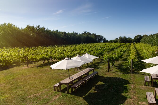 Jersey Premium Vineyard and Distillery Wine Tour and Tasting - Who Should Book This Tour (and Who Might Skip the Premium)