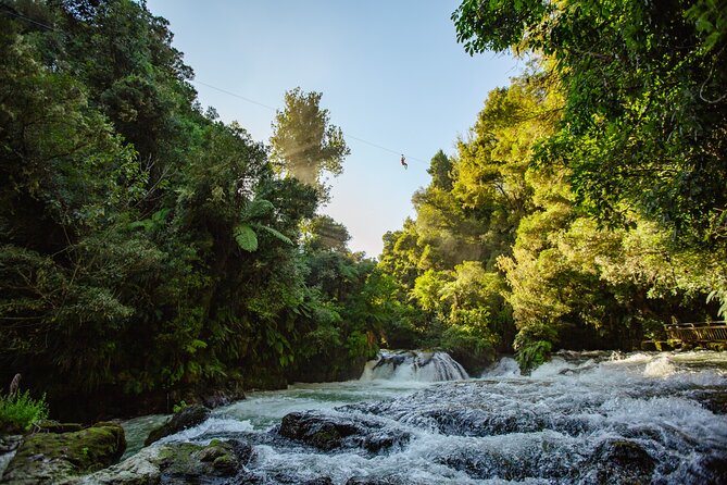 Kahukiwi Experiences Luxury 4WD 3hour Guided Maori Tour - What’s included on this 3-hour guided outing (and what you should bring)