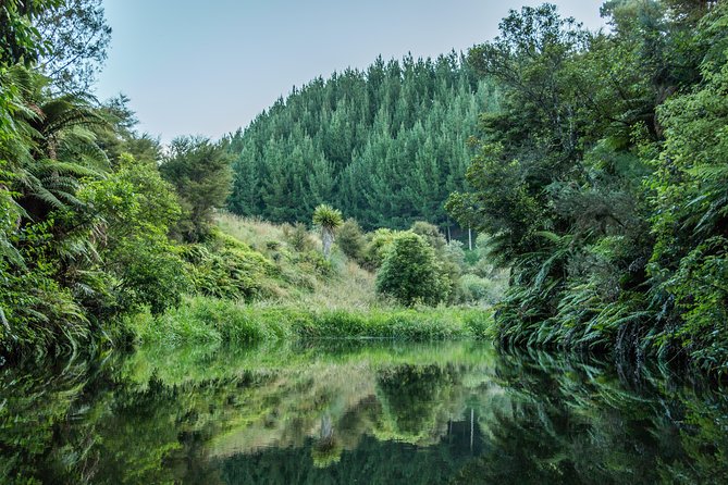 Kahukiwi Experiences Luxury 4WD 3hour Guided Maori Tour - Who should book this luxury Māori 4WD tour