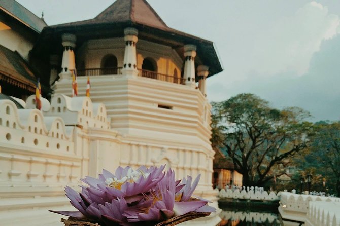 Kandy City guide Tour and day trip private luxury car and van - Kadugannawa tea factory: Ceylon tea in real time