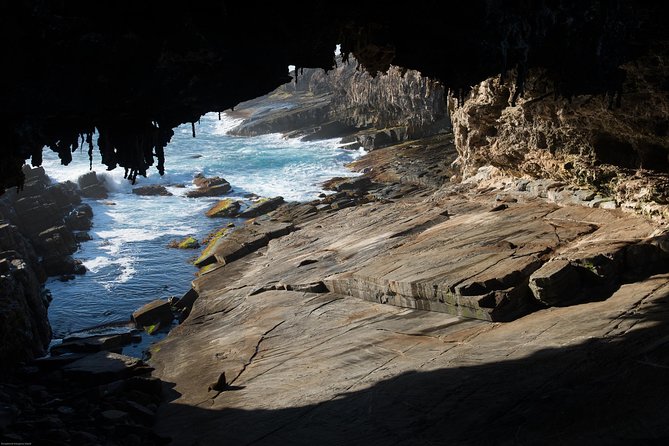 Kangaroo Island Luxury Small Group 'Flinders Chase Focus' Full Day Tour - Price and value: what you’re really paying for at $453.30