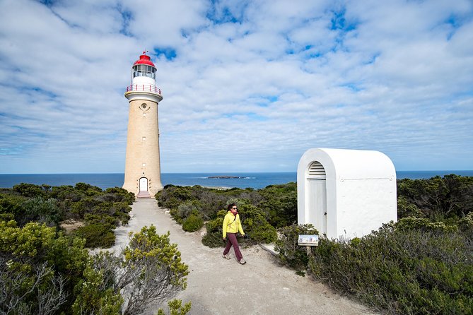 Kangaroo Island Luxury Small Group 'Flinders Chase Focus' Full Day Tour - Lunch in the bush: included, scenic, and actually relaxing