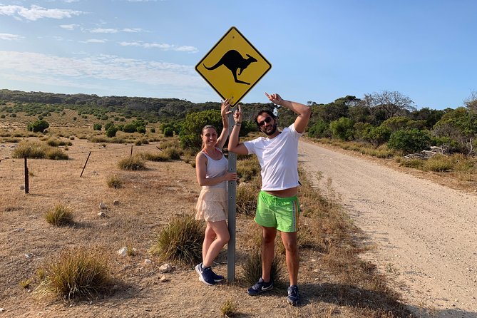 Kangaroo Island Luxury Small Group 'Island Life' Full Day Tour - Stop 3: Lathami Conservation Park bush walk for kangaroos, echidnas, and the glossy black cockatoo