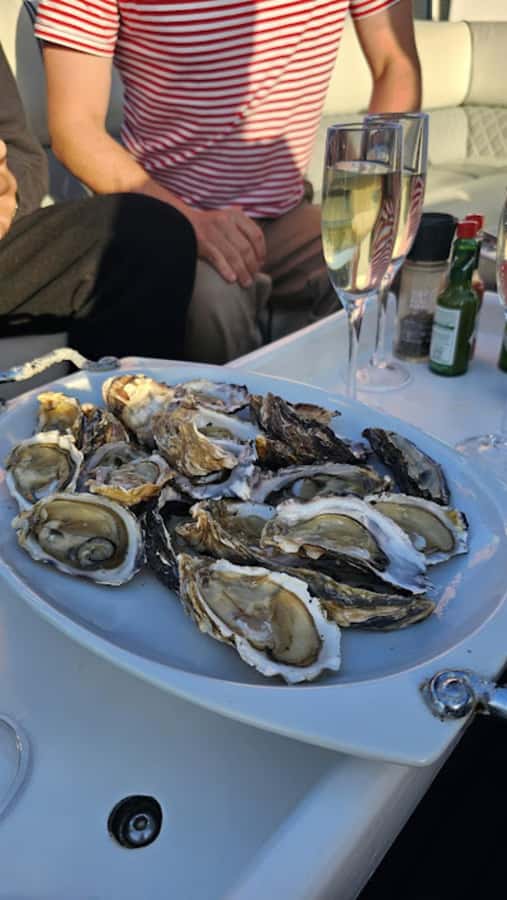 Knysna: Wine & Oyster Luxury Lounger Sunset Cruise - Key takeaways