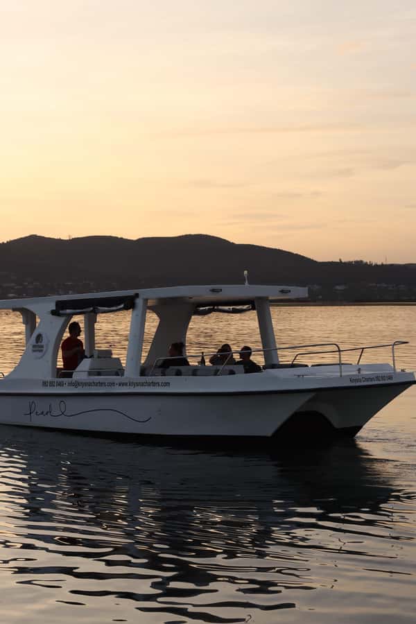 Knysna: Wine & Oyster Luxury Lounger Sunset Cruise - Wildlife spotting: where binoculars pay off