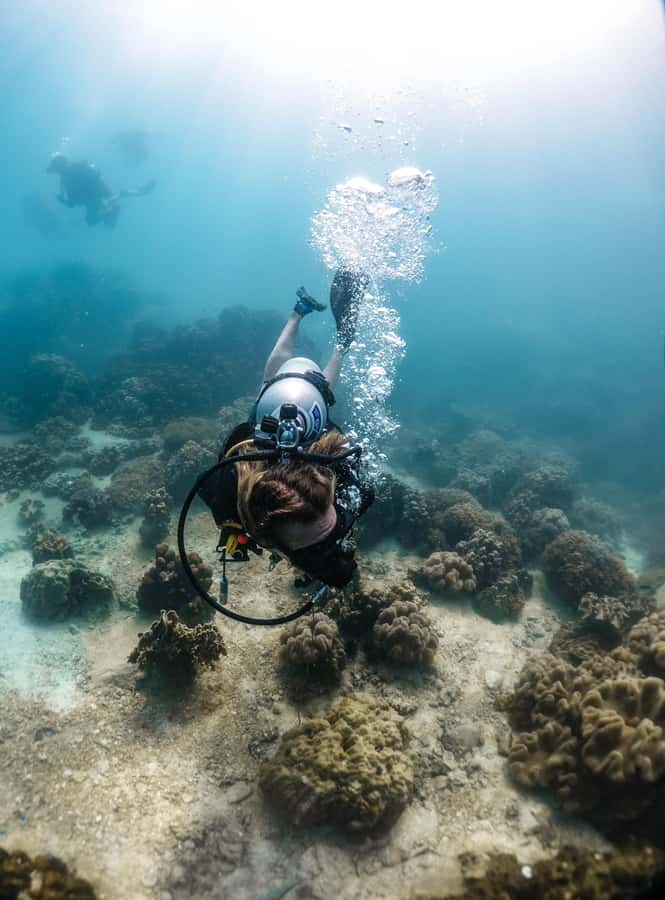 Koh Tao: PADI Premium Open Water Diver Course - Day 2 classroom + shallow sea sessions (10:00–17:00): calm water, real skills