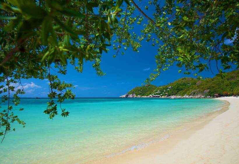 Koh Tao: Premium Snorkel Tour to Koh Nangyuan Bays by Oxygen - What you’ll see underwater: turtles, baby sharks, and reef texture