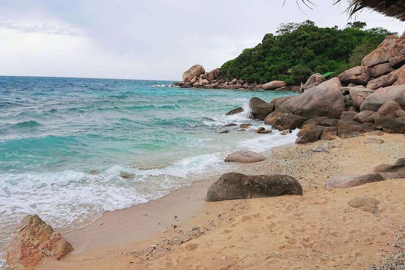 Koh Tao: Premium Snorkel Tour to Koh Nangyuan Bays by Oxygen - Freedom Beach reef and the first-water nerves