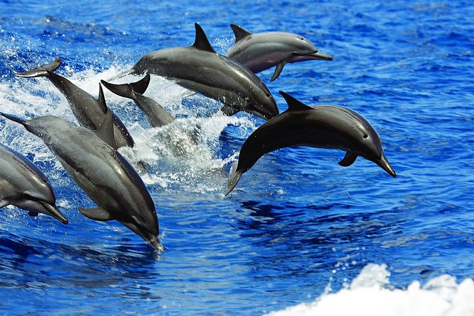 Kona Luxury Catamaran Yacht Snorkel & Sail - Kailua-Kona Area Sailing: Scenic Cruising Time You Actually Feel