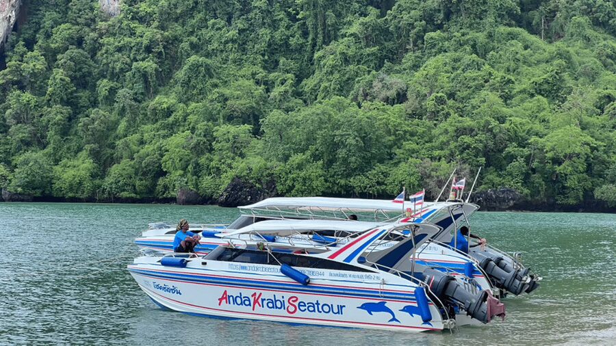 Krabi: Premium James Bond Island Speedboat & Canoe Trip - The Big Tree (Ton Mai Yai) swim stop: a fun reset on the way back