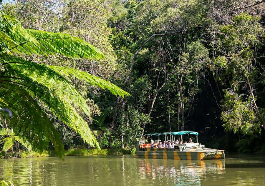 Kuranda Pamagirri Aboriginal Premium Full-Day Tour - Aboriginal canvas art workshop: a take-home memory with a story