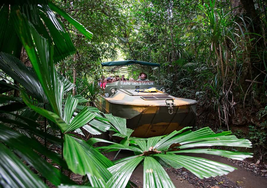 Kuranda Pamagirri Aboriginal Premium Full-Day Tour - The Army Duck amphibious ride: the most fun transport of the day