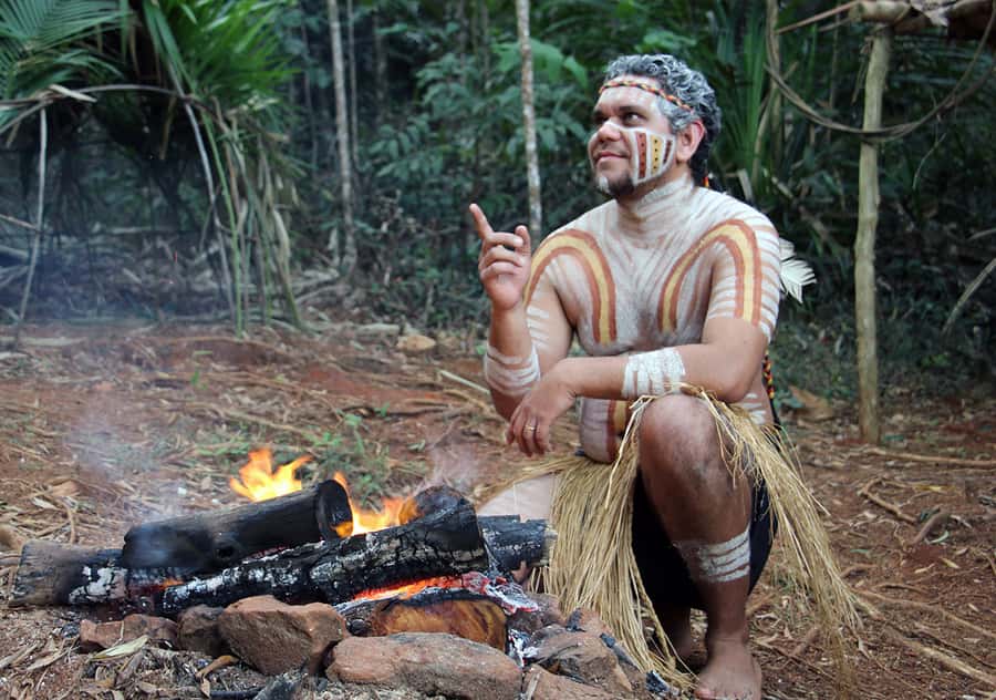 Kuranda Pamagirri Aboriginal Premium Full-Day Tour - Rainforest Amphitheatre dance show: energy, performance, and context