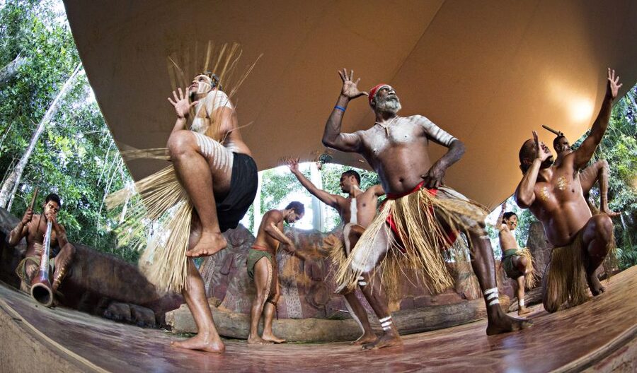 Kuranda Pamagirri Aboriginal Premium Full-Day Tour - Pamagirri Rainforest Walkabout: traditions, bush tucker, and survival knowledge