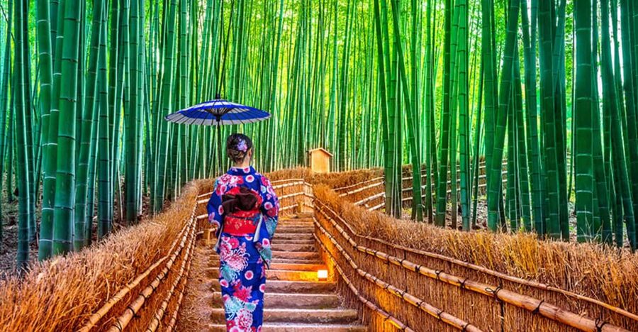 Kyoto Day Tour with Certified Tour Guide & Luxury vehicle - Private Kyoto in 10 Hours: How the Day Actually Fits Together