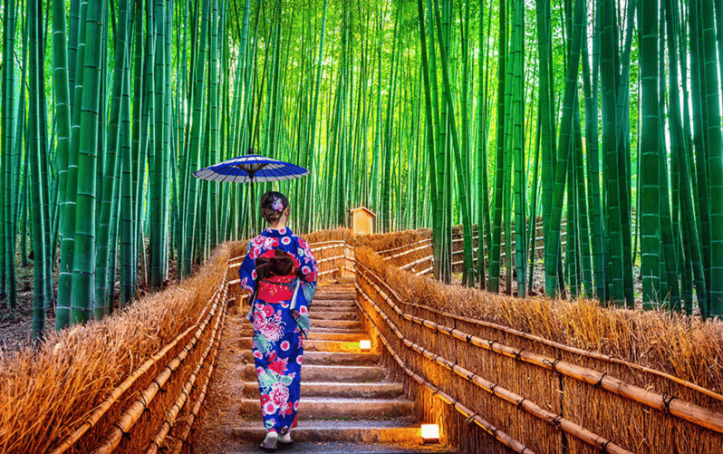 Kyoto Day Tour with Certified Tour Guide & Luxury vehicle - Pickup, Drop-Off, and the Vehicle Reality Check