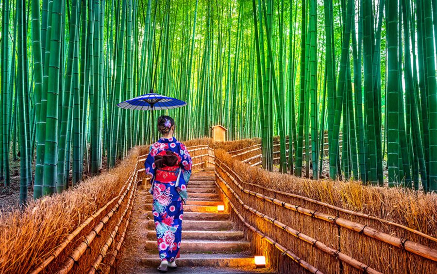 Kyoto Day Tour with Certified Tour Guide & Luxury vehicle - Kinkaku-ji and the Arts & Crafts Market Stop