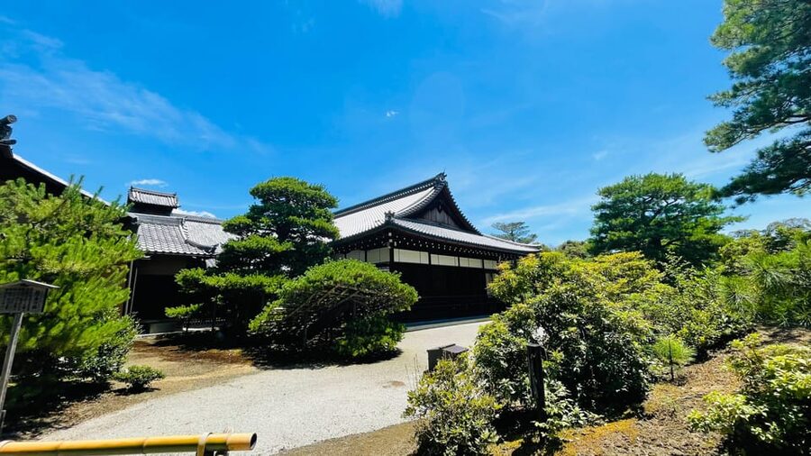 Kyoto Day Tour with Certified Tour Guide & Luxury vehicle - Fushimi Inari Taisha: Torii Walking With a Guide in Your Corner