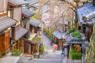 Kyoto: Private Highlights Tour with Guide and Luxury Vehicle - Arashiyama bamboo, Tenryu-ji, and Monkey Park: the west-side start