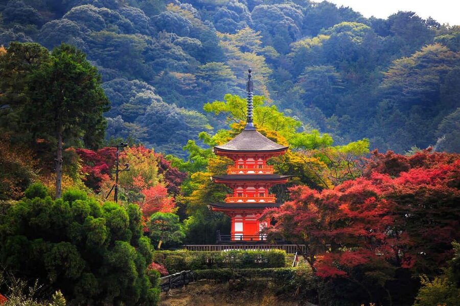 Kyoto: Private Highlights Tour with Guide and Luxury Vehicle - Nishiki Market and Gion: where Kyoto turns into everyday life