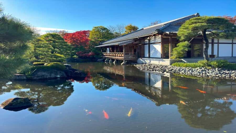 Kyoto:Private Tour/Luxury Vehicle with Guide & photographer - Fushimi Inari Taisha: torii gates worked around your pace