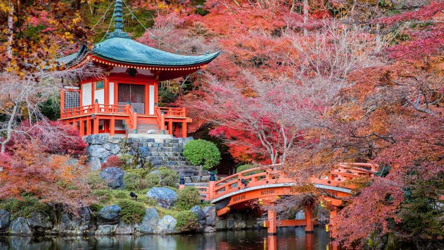 Kyoto:Private Tour/Luxury Vehicle with Guide & photographer - Photo and timing tips that make the day smoother