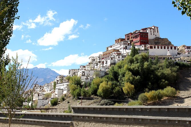 Ladakh 5-Star Premium Tour 7 Days - Day 3 Khardung La and Nubra Valley: From a High Pass to Camel Country