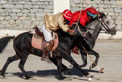 Ladakh 5-Star Premium Tour 7 Days - Day 2 Leh Palace, Magnetic Hill, and the Monastery Circuit (Alchi, Likir, Shanti Stupa)