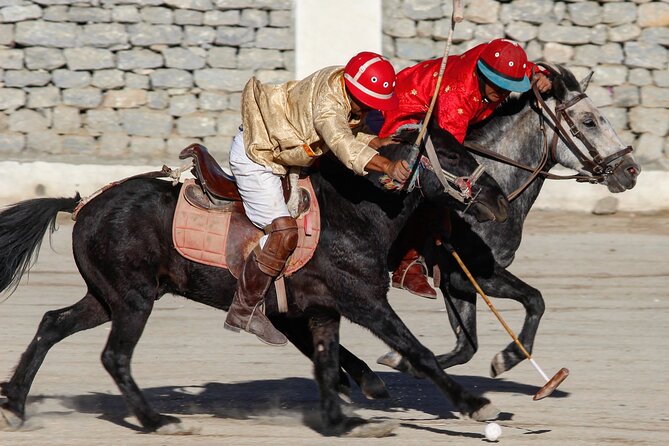 Ladakh 5-Star Premium Tour 7 Days - Day 2 Leh Palace, Magnetic Hill, and the Monastery Circuit (Alchi, Likir, Shanti Stupa)